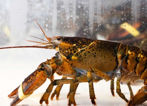 ÉVadez-vous dans les Ardennes - 4* - 13