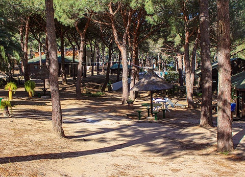 Résidence Tramariccia 2* - 10