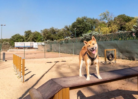 Camping hu Fabulous Village, 4* - 111