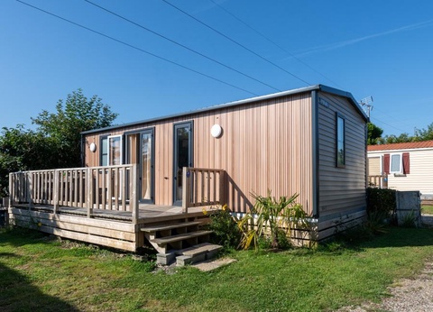 Flower Camping Vitamin, 4* - 45