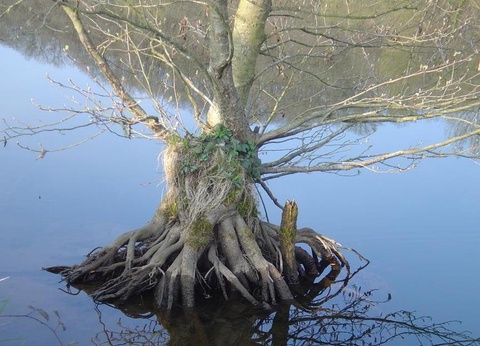 Ushuaia Villages Port de Lacombe, 3* - 99