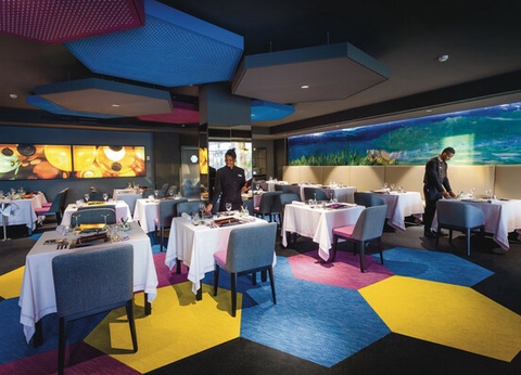 Hôtel Riu Cabo Verde 5* - Adult only - 14