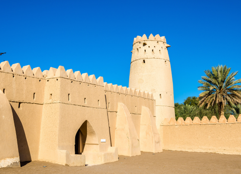 Circuit Emirats entre Dunes et Gratte-Ciels en Privatif - 4