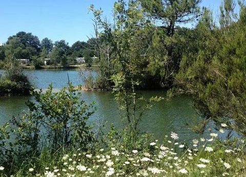 Camping maeva Escapades Les Etangs Mina, 3* - 44