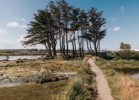 Camping du Port 4* - 63