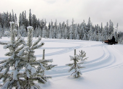 Circuit Retour aux sources 4* - 3