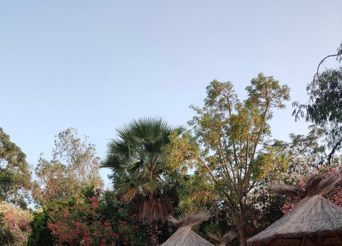 Camping Tikiti, 3* - 64