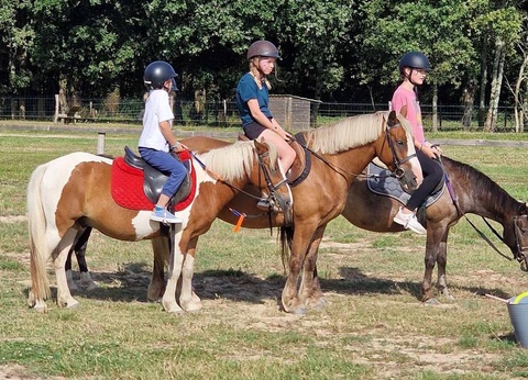 Camping Les P'tites Maisons dans la Prairie, 3* - 43