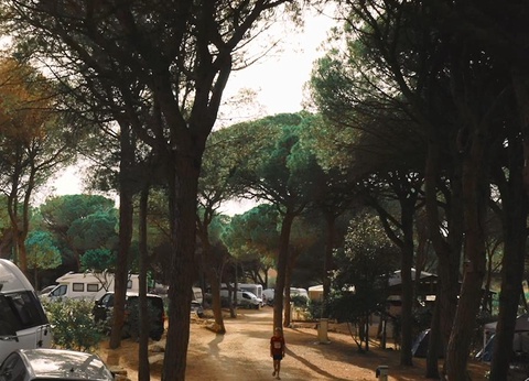 Camping Figurotta, 3* - 33