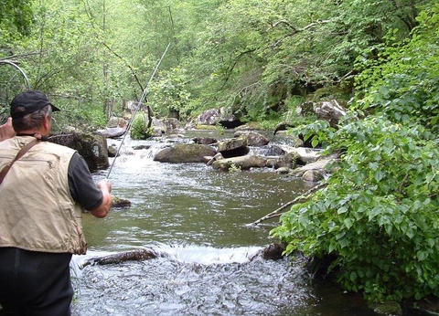 Flower Camping La Plage, 3* - 13