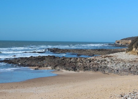 Camping Le Bosquet - 10