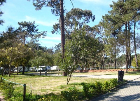 Camping Caminha 3* - 20