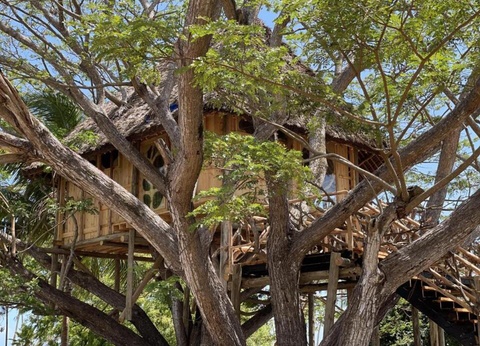 Hôtel Antonio Beach 4* - 11