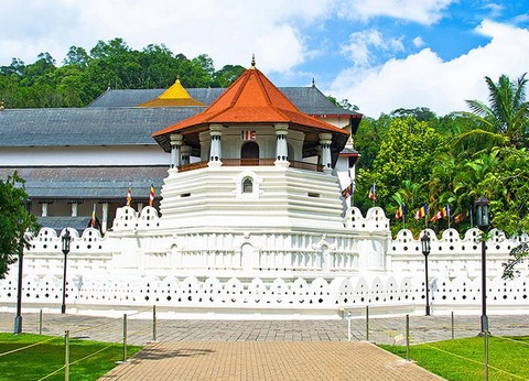 Circuit Incontournable Sri Lanka et Ôclub Experience Canareef Resort 4* - 7