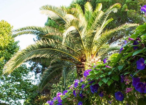 Camping Les Pêcheurs, 4* - 41