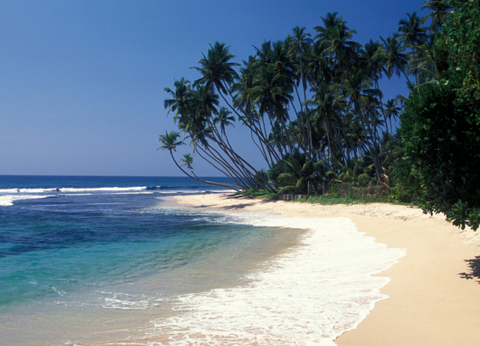 Circuit Sri Lanka Insolite - 21