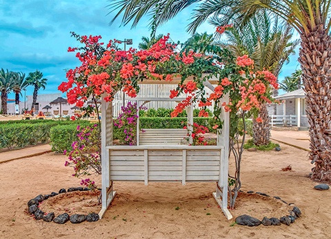 Hôtel Club Framissima Oasis Belorizonte 4* - 21