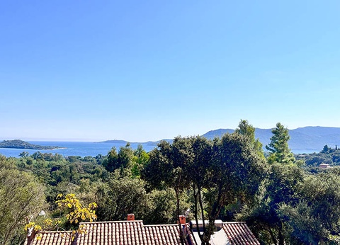 Résidence Royal Palm 3* - 23