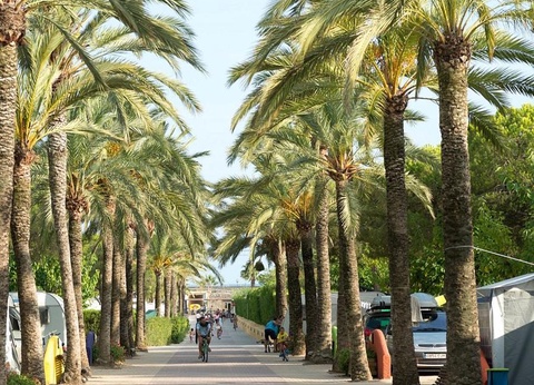 Camping Stel - Roda de Bara, 4* - 18