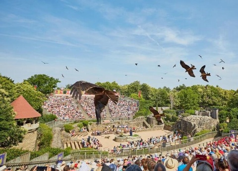 Camping OAKi, 3* - 11