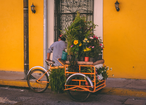 Circuit Autotour, Road Trip au Pays des Mayas - 14