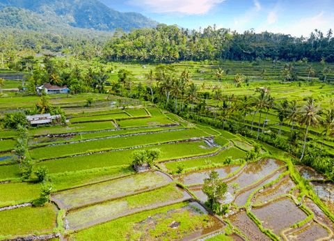 Circuit Aventures en Famille à Bali 4* - 18