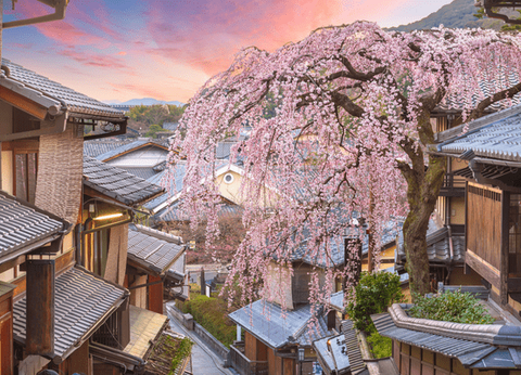 Circuit Au Coeur du Japon, Authentique et Insolite - 17