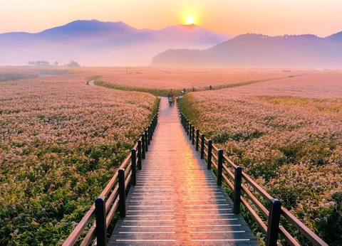 Circuit Individuel : La Grande Boucle de Corée - 14