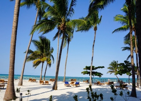 Club Framissima Paje Palms Beach Resort 4* - 13