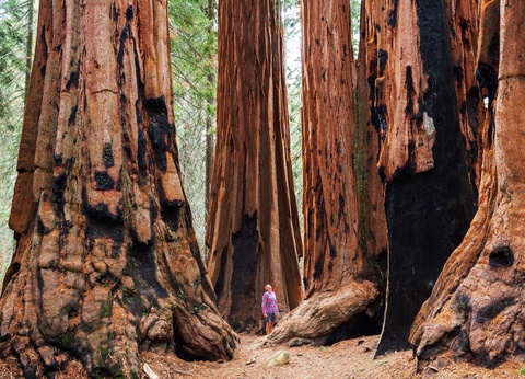 Les Incontournables de l'Ouest - 14J/12N - 2026 - 7