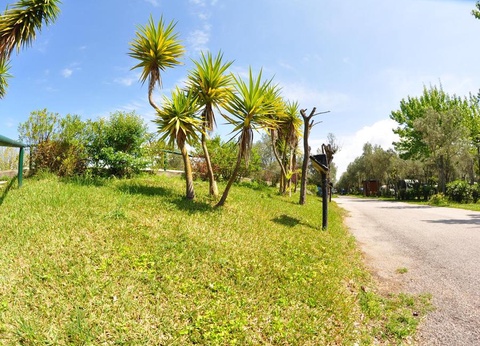 Camping Village Paestum, 4* - 44