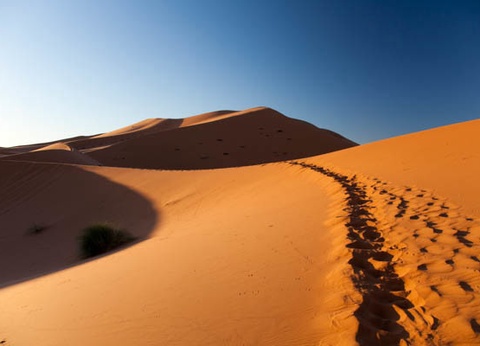 Circuit Voyage en liberté, de Marrakech aux dunes de Merzouga - 4