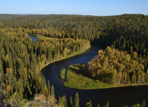 Séjour multi-activité au cœur des forêts lapones - 6