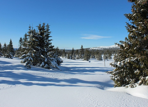 Autotour Splendeurs des Fjords - 6