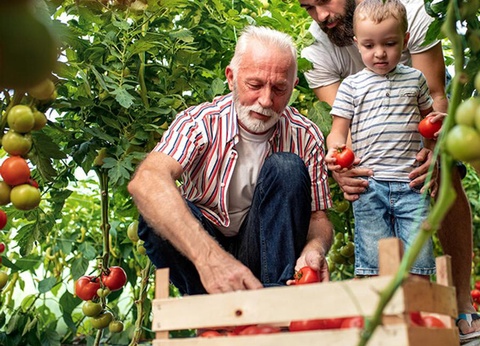 Camping La Tamarissière, 4* - 21