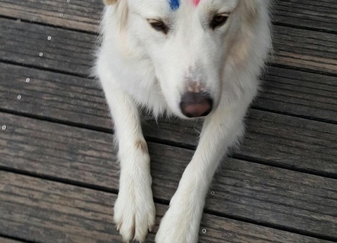 Camping Le Rey, 3* - 41