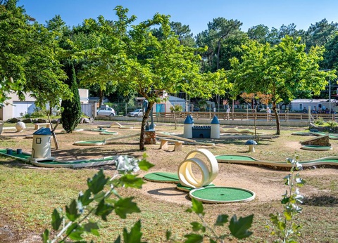 Flower Camping Au Bois des Biches, 4* - 42