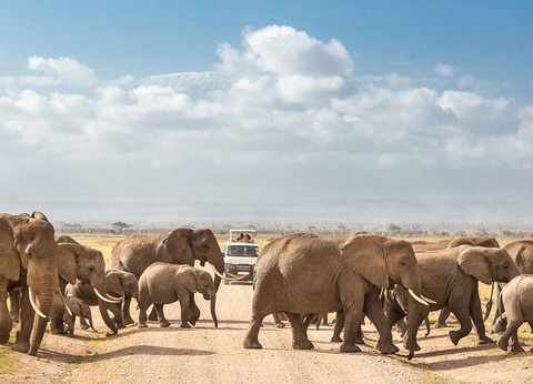 Combiné Ôclub Select Diamonds Malindi 5* et Safari - 10