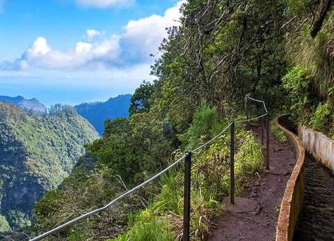 Circuit Energie de Madère - Dom Pedro Madeira Hôtel 4* - 9