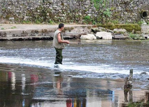 Camping La Bourgnatelle, 3* - 44