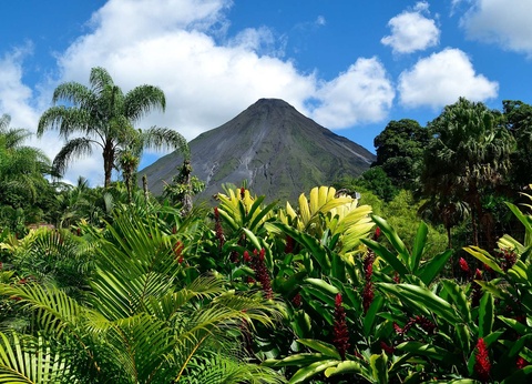 Circuit Trésors du Costa Rica - Tortuguero et séjour balnéaire - 17J/15N - 11
