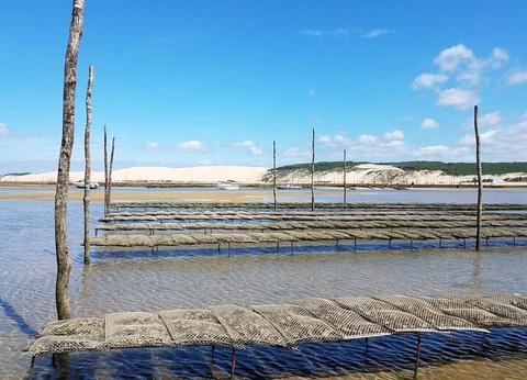 Camping Sea Green Domaine de La Forge, 4* - 32