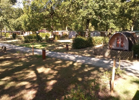 Camping OAKi, 3* - 22