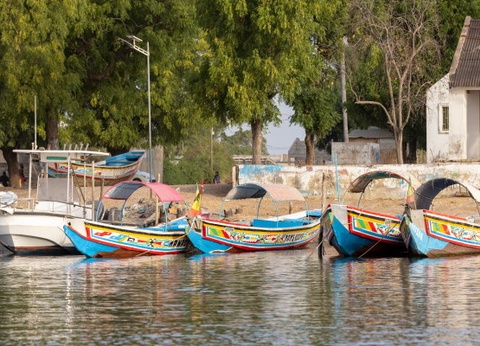 Circuit Les Oasis du Sénégal en privatif *** - 6