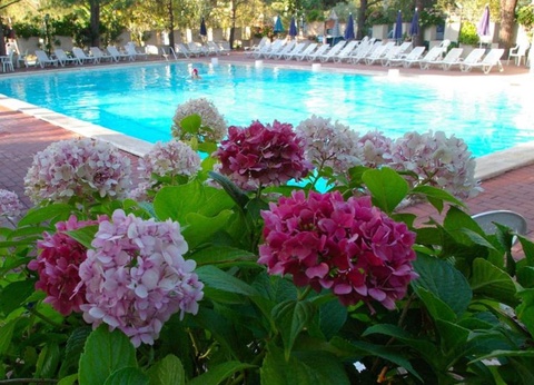 Camping Punta Navaccia, 3* - 24