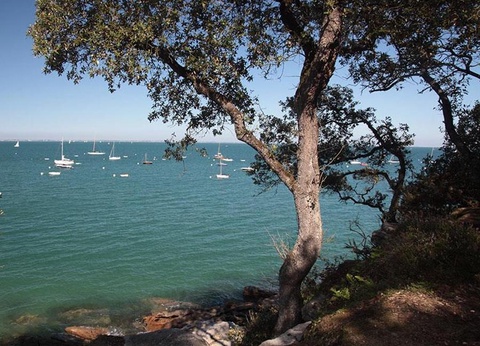 Village vacances Le Hameau de L'Océan, 4* - 41