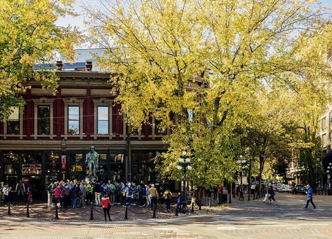 Circuit Totems & glaciers - 5