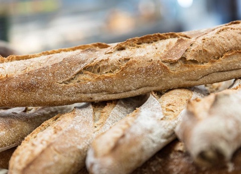 Camping Domaine de Ker Ys, 4* - 15