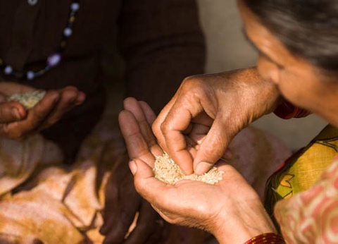 Circuit Népal, terre de contrastes et traditions - 2