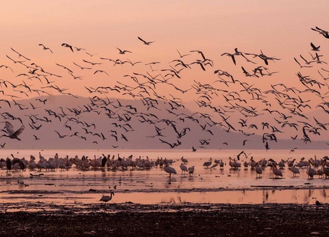 Safari Féeries d'Afrique - 7